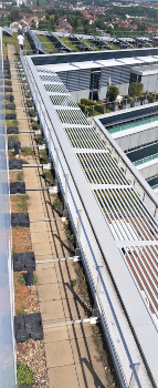 dani alu Barrial Premium dani alu Barrial Premium